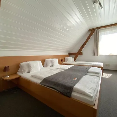 Gastehaus Spoth 3* Rust